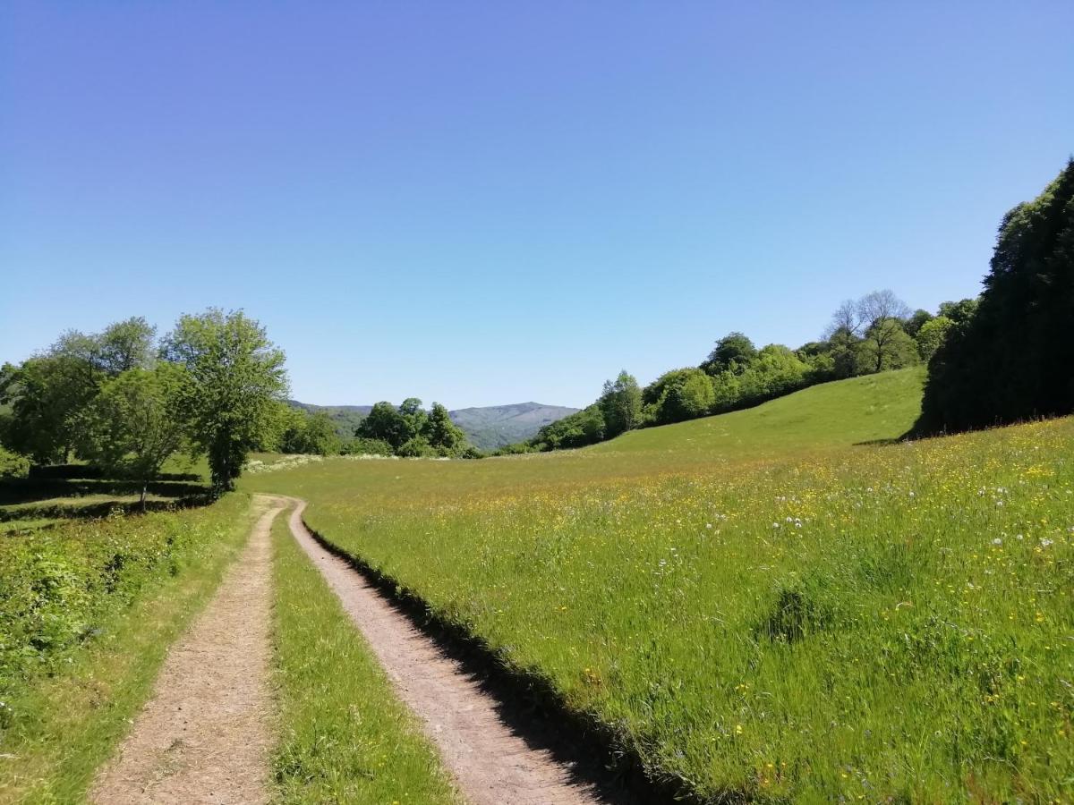 Maison A La Campagne Au Coeur Du Cantal Dept 15 Marmanhac Luaran gambar